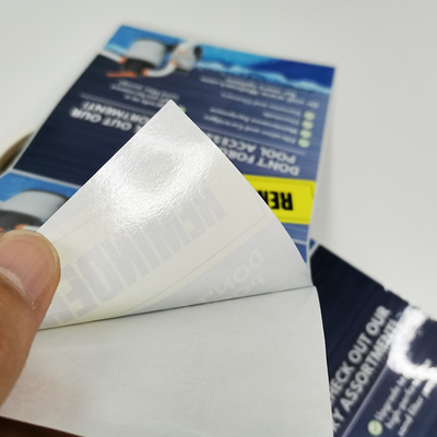 Matte Waterproof Custom Die Cut Stickers CMYK Printing Removable Adhesive Vinyl